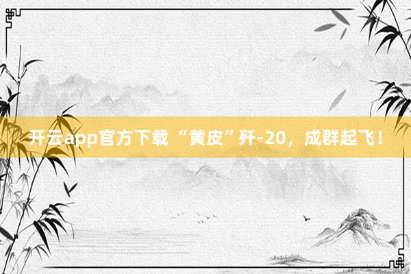 开云app官方下载 “黄皮”歼-20，成群起飞！